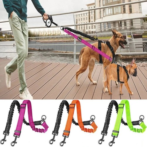 Double dog lead dual - lead,