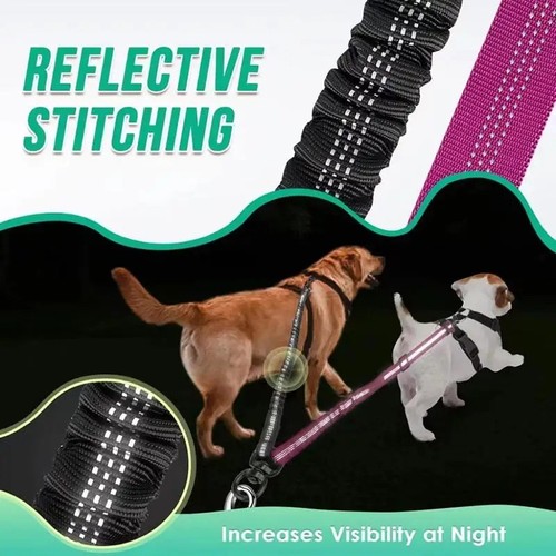 Double dog lead dual - dual, way