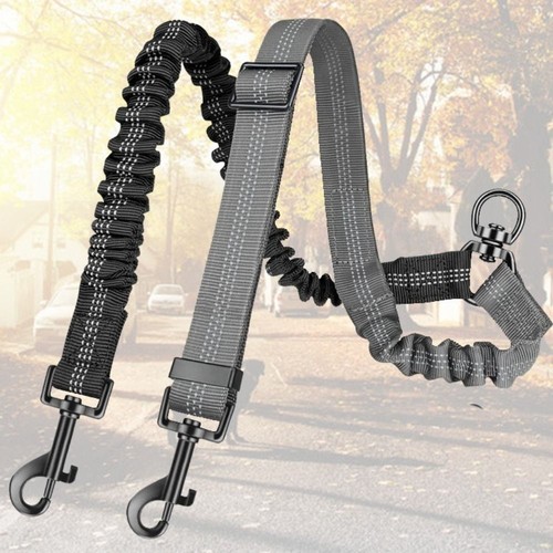 Double dog lead dual two - dog,