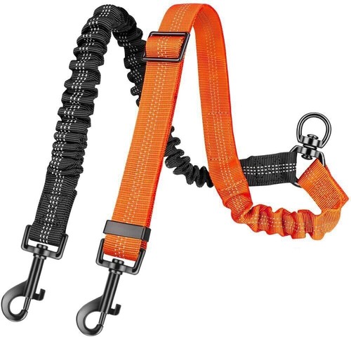 Double dog lead dual - lead,