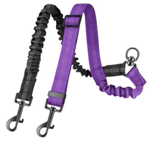 Double dog lead dual - dog, two