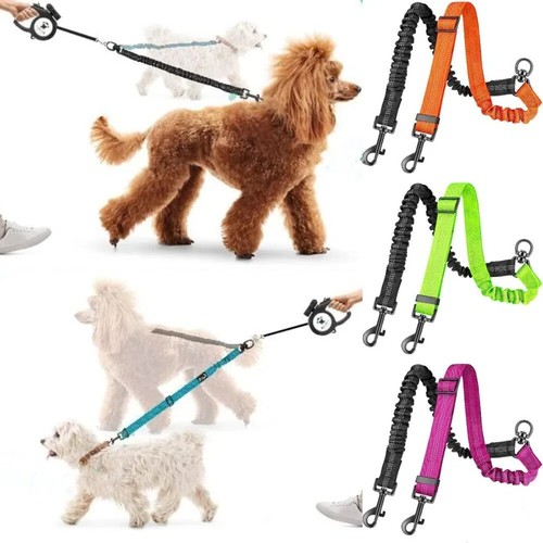 Double dog lead dual - double,
