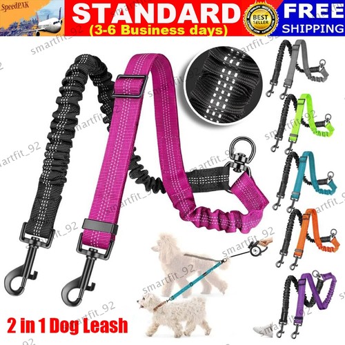 Double dog lead dual - 1,